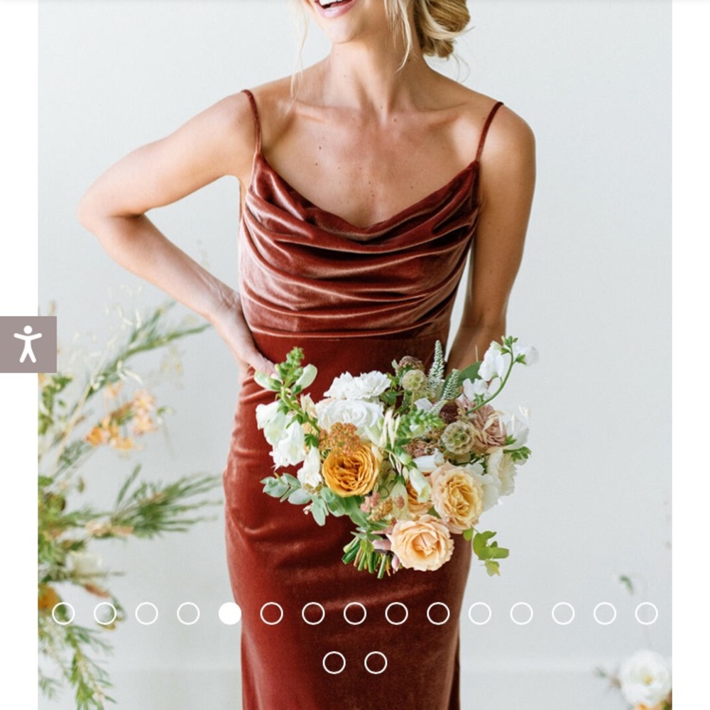 Revelry Skye Velvet Dress
